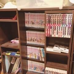 コミック　文庫　書類用　本棚の画像