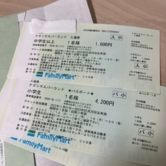 ナガシマスパーランド　チケット