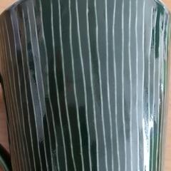 【新品】カップ 落ち着いたグリーンの画像
