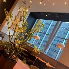NISAやiDeCoが気になってる人