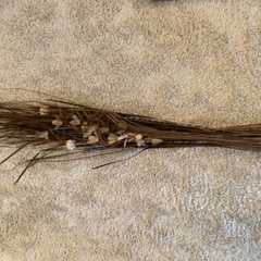 【お買い得】海外購入　インテリアフラワー　造花の画像