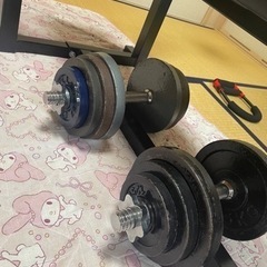 ベンチプレスセット ダンベル 1式の画像