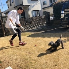 一緒に海に行ってくれる人募集