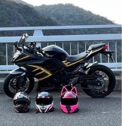 バイク NINJA250