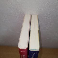 【子育て本】2冊セット　スティーヴ・ビダルフ/波多野ミキの画像