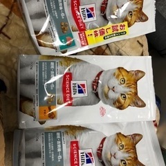 購入者様決まっています。猫餌の画像