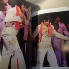 エルヴィス・プレスリー 写真集 自費出版 フルカラー A4版「ELVIS We remember you~Japanese Fans」 ファン コレクター レアの画像