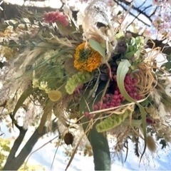 ラナンキュラス　　jdaの画像