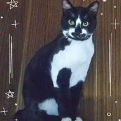 ☆元気いっぱいの男の子☆