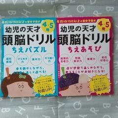 幼児の天才頭脳ドリルちえあそび、パズル 平均IQ150以上の聖徳...