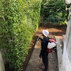 造園工　庭師　性別問わず募集　個人邸メインの画像