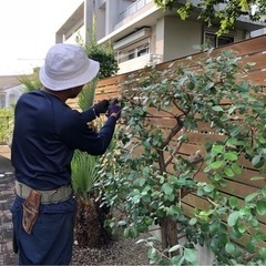 造園工　庭師　性別問わず募集　個人邸メイン