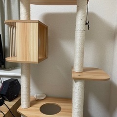 キャットタワー