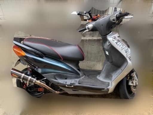 2/19までに引き取り可能な方限定価格！ シグナス1型 SE12J