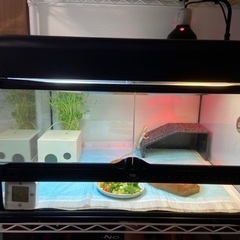 フトアゴヒゲトカゲ　飼育セットのケージとライトのセット⚠️穴あけ、シール等ありますの画像