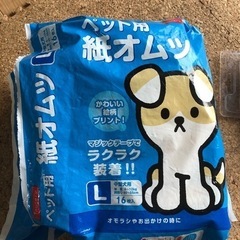 ペット用紙オムツの画像