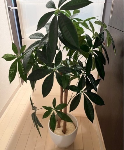 観葉植物　フェイクグリーン