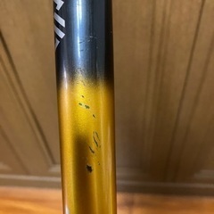 ガーラモンスターの画像