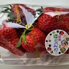 千葉市近郊　完熟🍓好きの皆さん情報交換しませんか？