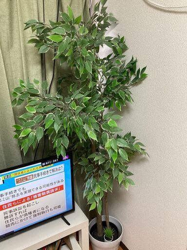 【オマケ付き】IKEA フェイクグリーン/造花　FEJKA(フェイカ)　人工観葉植物