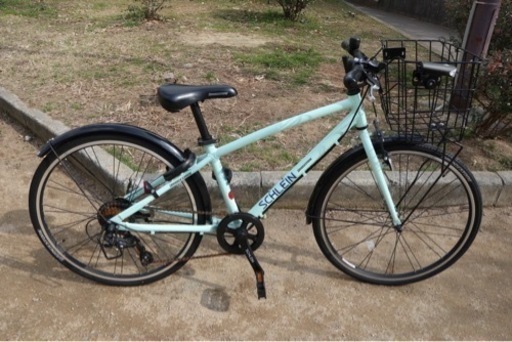 ブリヂストン　シュライン　ミントグリーン24型