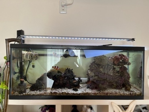 90cm水槽 アクアリウム一式 ライブロック ろ過装置