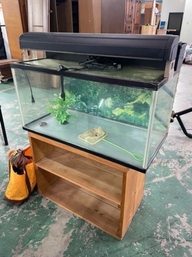 決まりました☆水槽☆中古品になる為格安