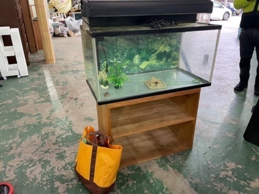 決まりました☆水槽☆中古品になる為格安