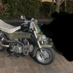 ホンダDAX(角目シャリーフェイス)※引き取り限定