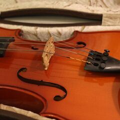  バイオリン Violin The Stentor Student ST 4/4  ケース/肩当て/1本付きの画像