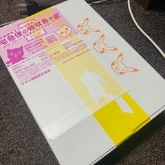 V STAR ユニバース　ポケモン　カード