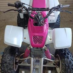yamaha ブラスター　YF200