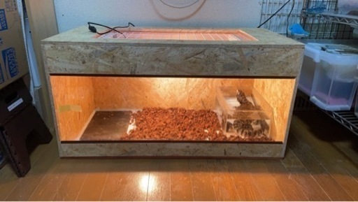 爬虫類 オーダーゲージ お作り致します