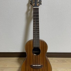 ウクレレ　AQUA