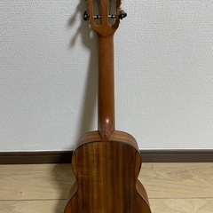 ウクレレ　AQUAの画像