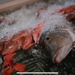 魚の肴と島料理　あじまー商店　【キッチン/ホール　アルバイト募集】リゾートバイトも大歓迎！の画像