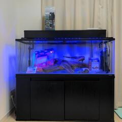 【引取限定】120センチ水槽セット、専用水槽台付き