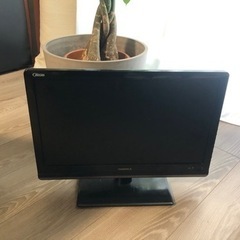 テレビ