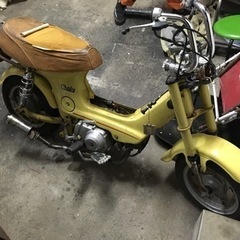 シャリー　6V