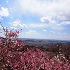 ☺️✨宮城登山のんびりトレッキングサークル！登山友達や登山仲間募...