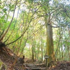 ☺️✨宮城登山のんびりトレッキングサークル！登山友達や登山仲間募集してます。初心者向け✨☺️ - 仙台市
