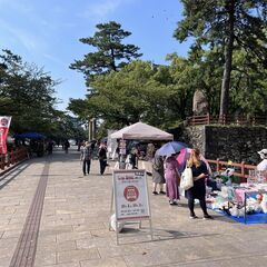 勝山公園大芝生カーブーツ2023/4月