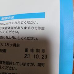 ドックフード