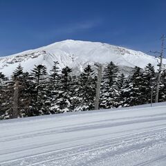 2024/ 2/24(土)滑走　御嶽スキー場で一緒に滑りましょう！ 