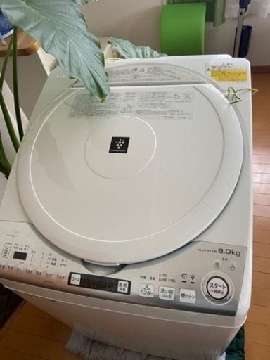 シャープ8キロ洗濯乾燥付き