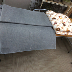 △ホットカーペット・カバーセットの画像