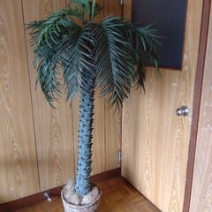 ヤシの木　造花　光触媒