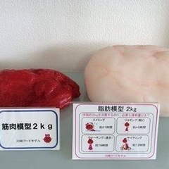健康ダイエットコミュニティーin小松市 - スポーツ