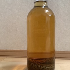 まむし酒 試飲可