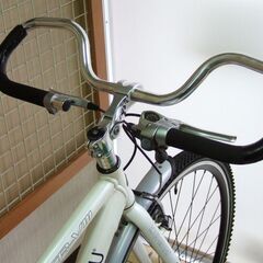 【特価品】LOUIS GARNEAU TR8 マルチパーパスバイク